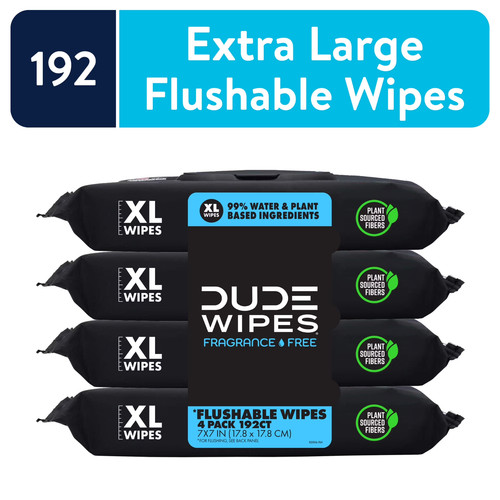 Dude wipes flushable - wipes,