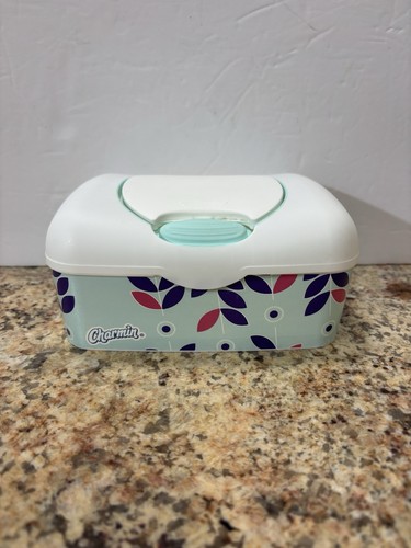Charmin plastic wet wipes - charmin,