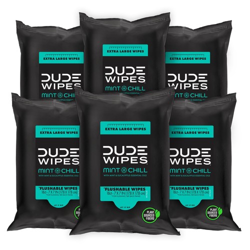 Dude wipes mint - dude, chill